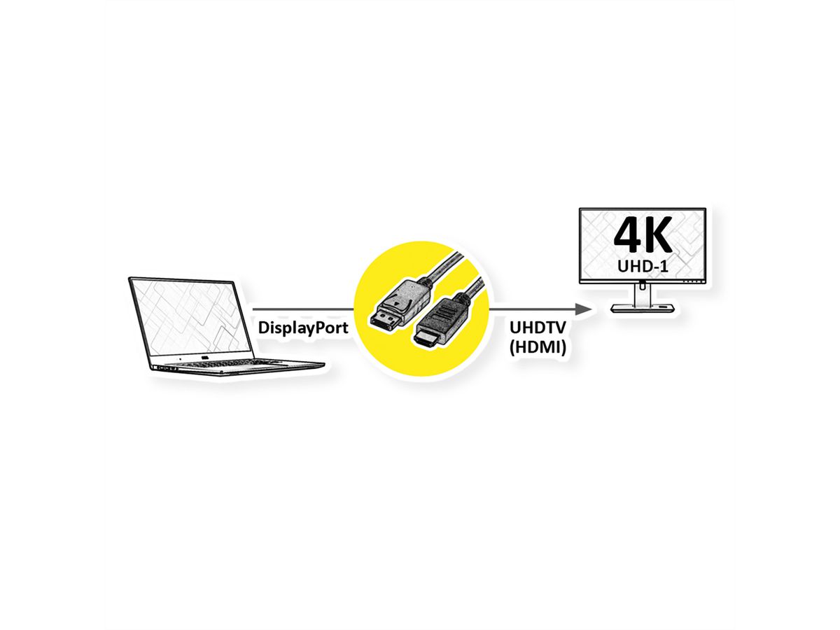 ROLINE Câble DisplayPort DP - UHDTV, M/M, noir, 1 m