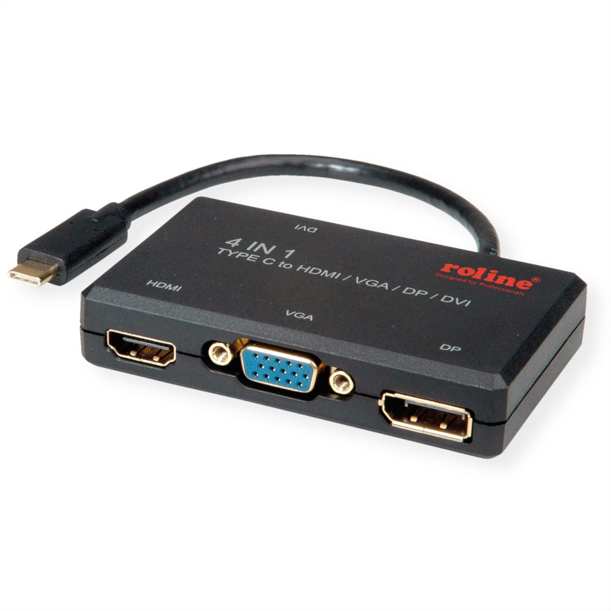 ROLINE Adaptateur USB Type C - VGA / DVI / HDMI / DP - SECOMP France