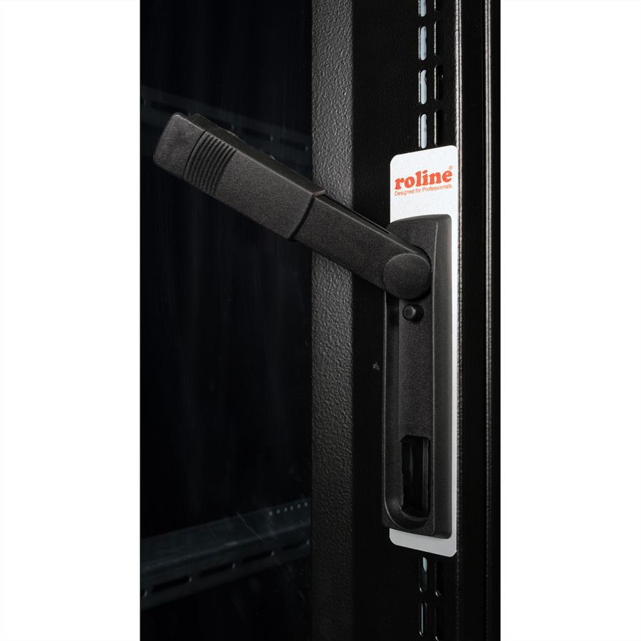ROLINE 19" Baie serveur Pro 36U, 600x1000 LxP noir Plexiglas