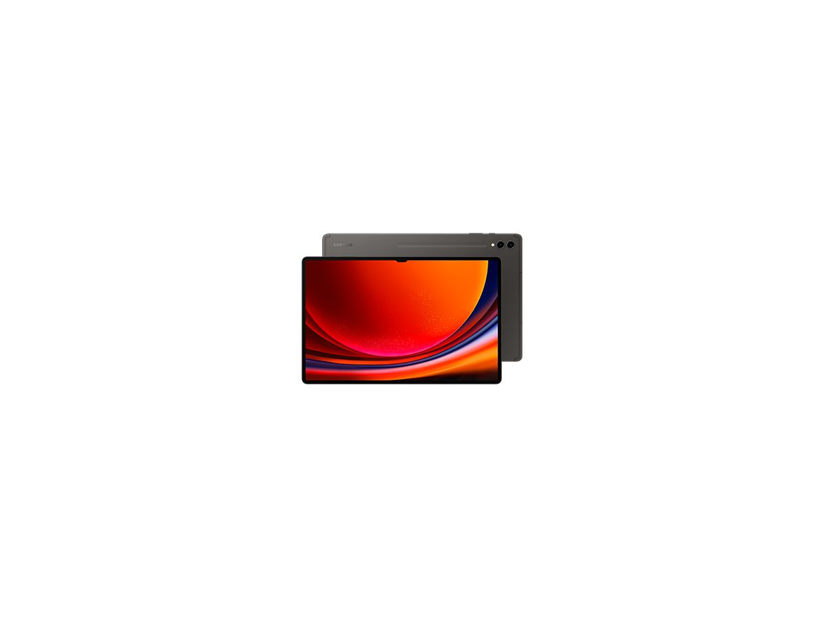 Samsung Galaxy Tab S9 Ultra SM-X916B 5G Qualcomm Snapdragon LTE-TDD & LTE-FDD 256 Go 37,1 cm (14.6") 12 Go Wi-Fi 6 (802.11ax) Android 13 Graphite