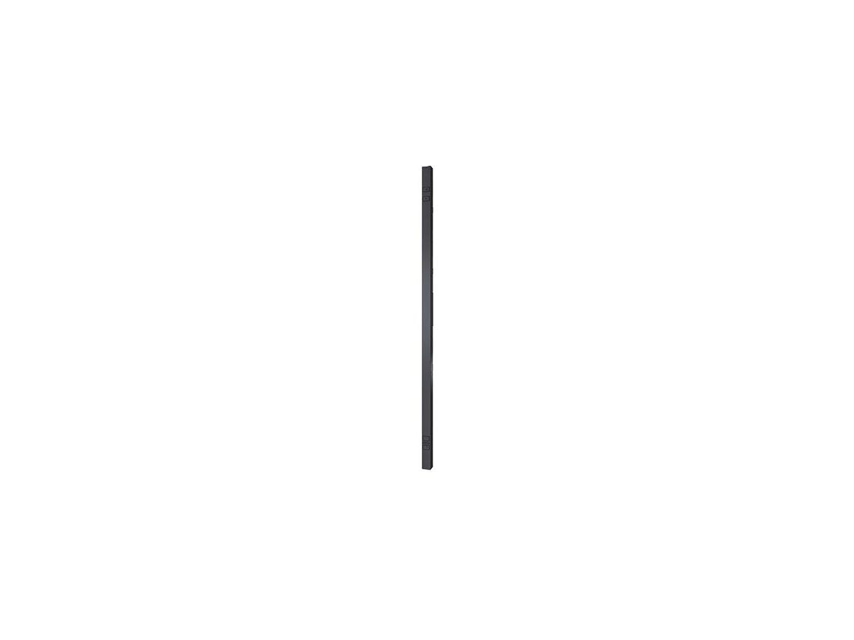 APC Rack PDU 2G unité de distribution d'énergie 24 sortie(s) CA Noir