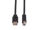 ROLINE Câble USB 2.0 plat pour Notebook, type A-B, noir, 0,8 m