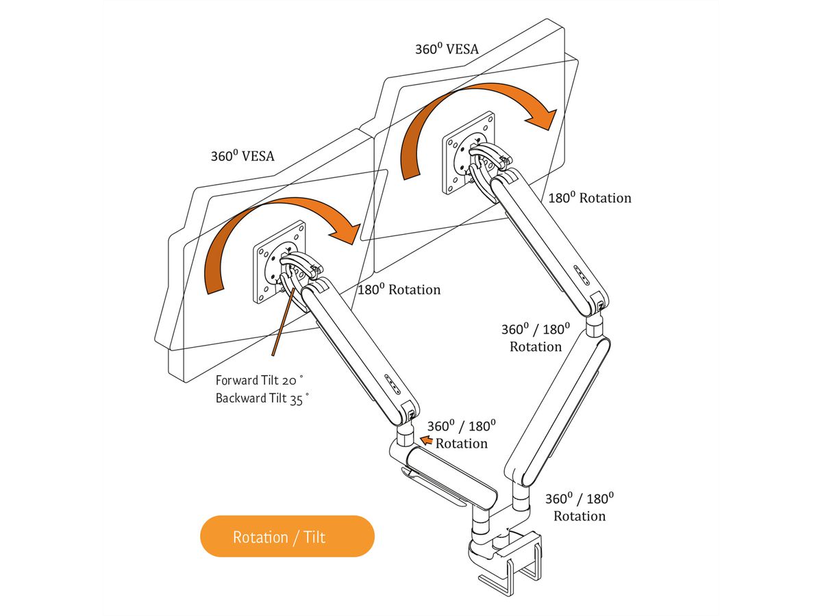 BACHMANN ZG2 bras double pour écran DS noir, montage sur bureau, 17-34 pouces, jusqu'à 11 kg