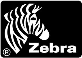 Zebra Z-Perform 1000T 101.6 x 76.2mm Roll Blanc