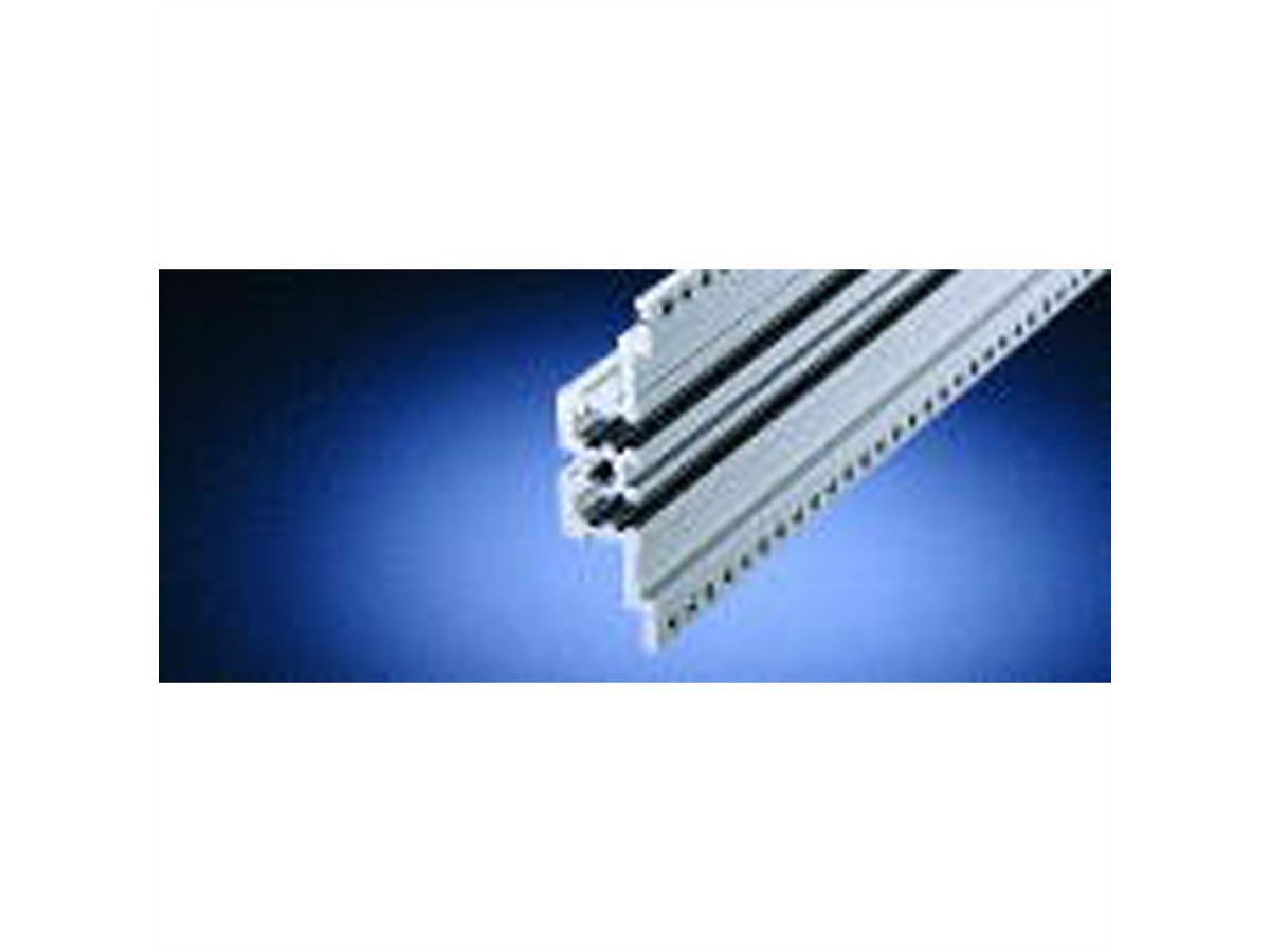 Rail horizontal SCHROFF, arrière, central, type MZ, avec rail en Z, 84 CV