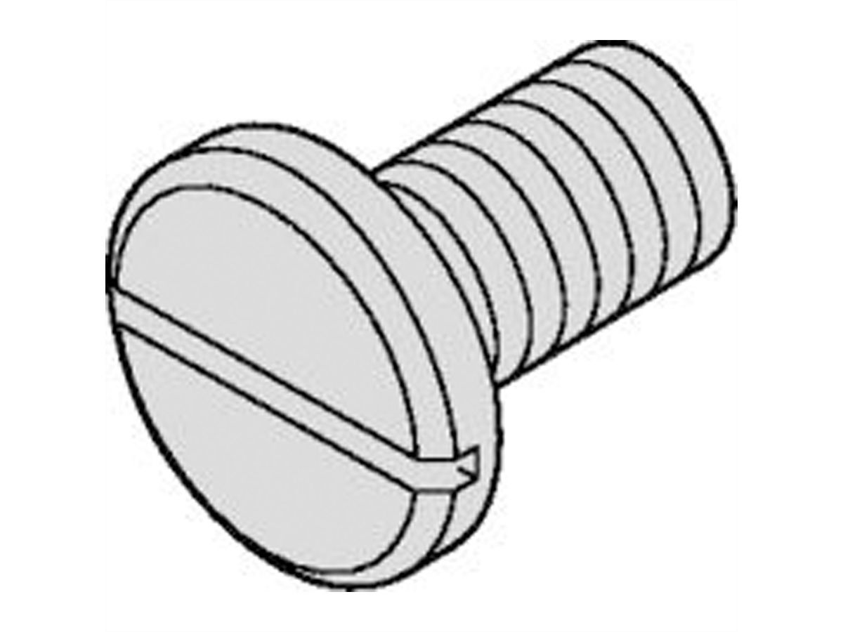 SCHROFF Vis à tête fraisée bombée à empreinte cruciforme - NTS-LISESHR 3X20, VERN.100ST