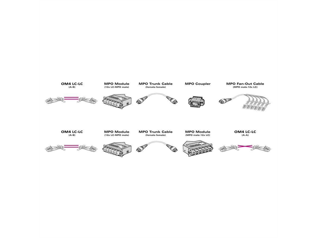 VALUE Module MPO, MPO mâle / 12x LC femelle