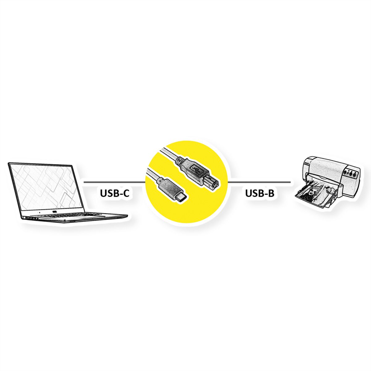 ROLINE Câble USB2.0 Type C - B, M/M, noir, 3 m