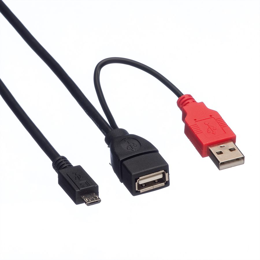 ROLINE Câble USB 2.0 en Y, 2x Type A (M/F) - Micro B M, 1 m