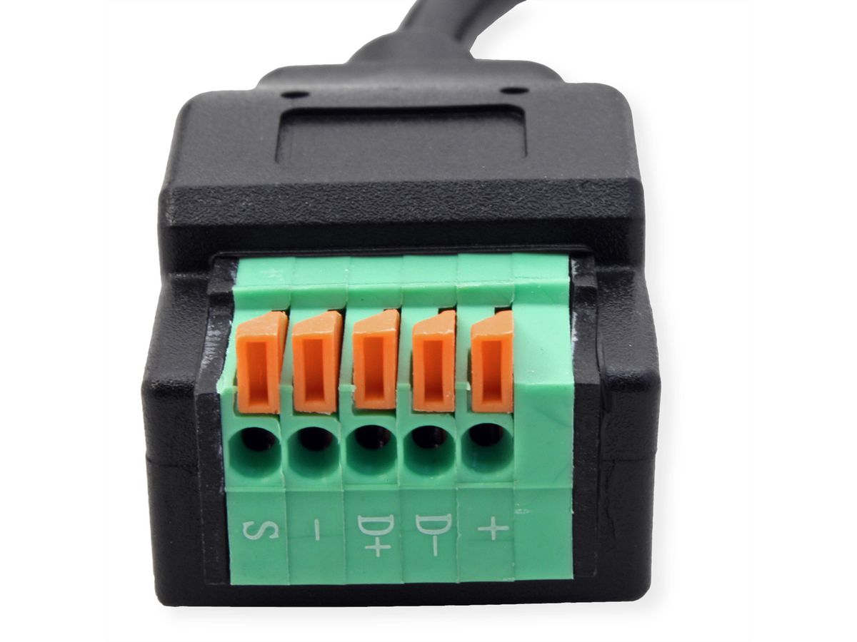 ROLINE Câble adaptateur USB type-C vers adaptateur de bornier à 5 broches, 15 cm