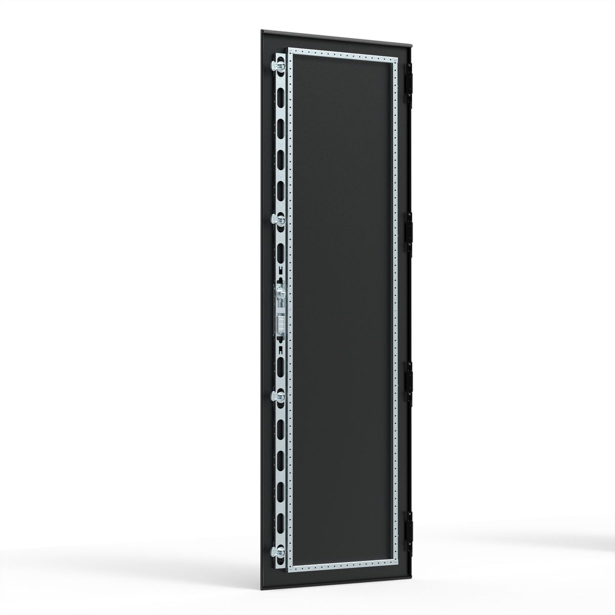 SCHROFF Porte acier CEM, IP55, multi-points
