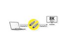 ROLINE RM Câble DisplayPort v1.4, DP M - DP M, noir, 2 m
