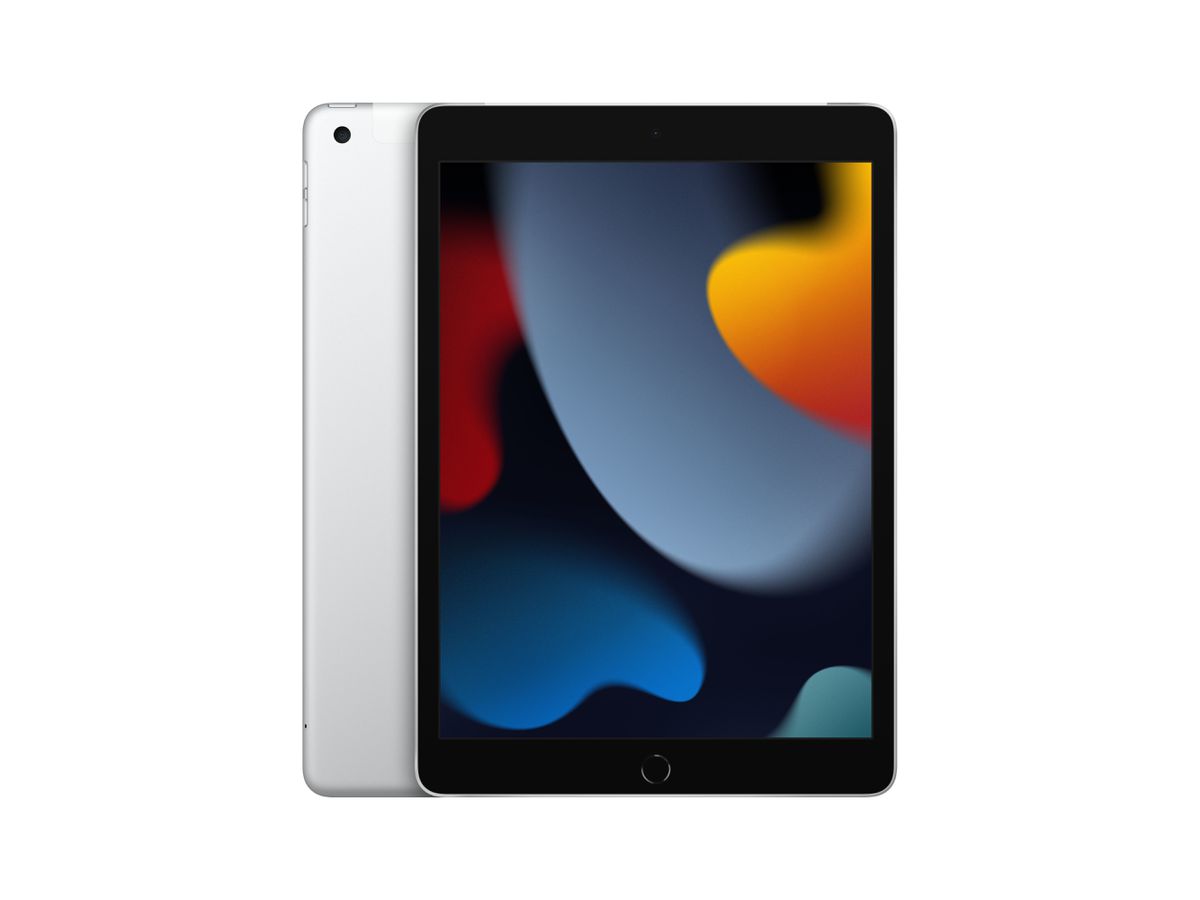 Apple iPad 4G LTE 256 Go 25,9 cm (10.2") Wi-Fi 5 (802.11ac) iPadOS 15 Argent