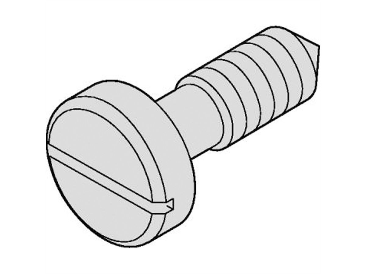 SCHROFF Vis à collet avec fente