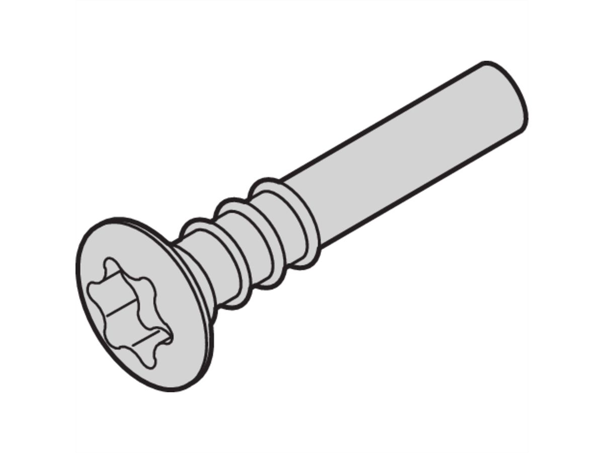 Vis à tête fraisée SCHROFF, Torx, 3 x 20, 100 pcs