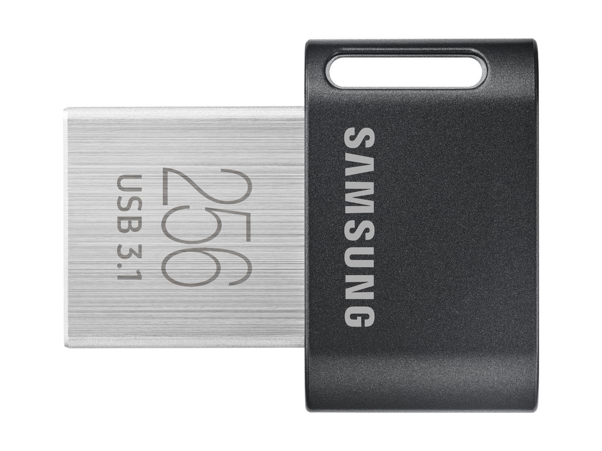 Samsung MUF-256AB lecteur USB flash 256 Go USB Type-A 3.2 Gen 1 (3.1 Gen 1) Gris, Argent
