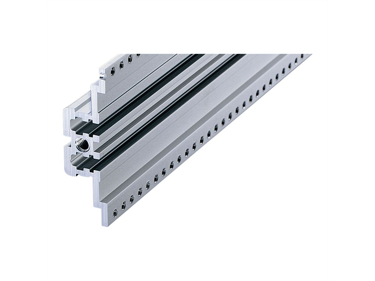 Rail horizontal SCHROFF, arrière, central, type MZ, avec rail en Z, 84 CV