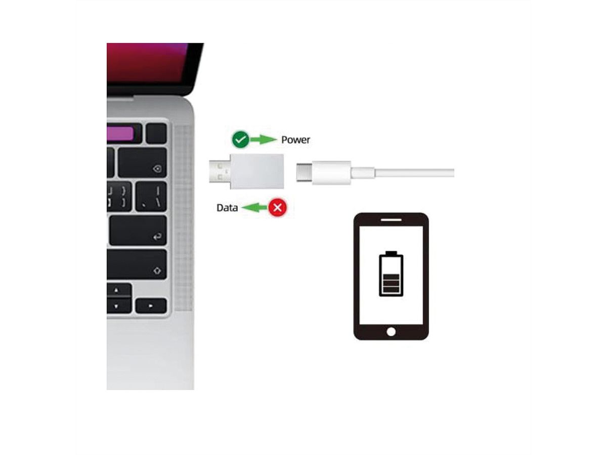 VALUE Protecteur de données USB, type A-C