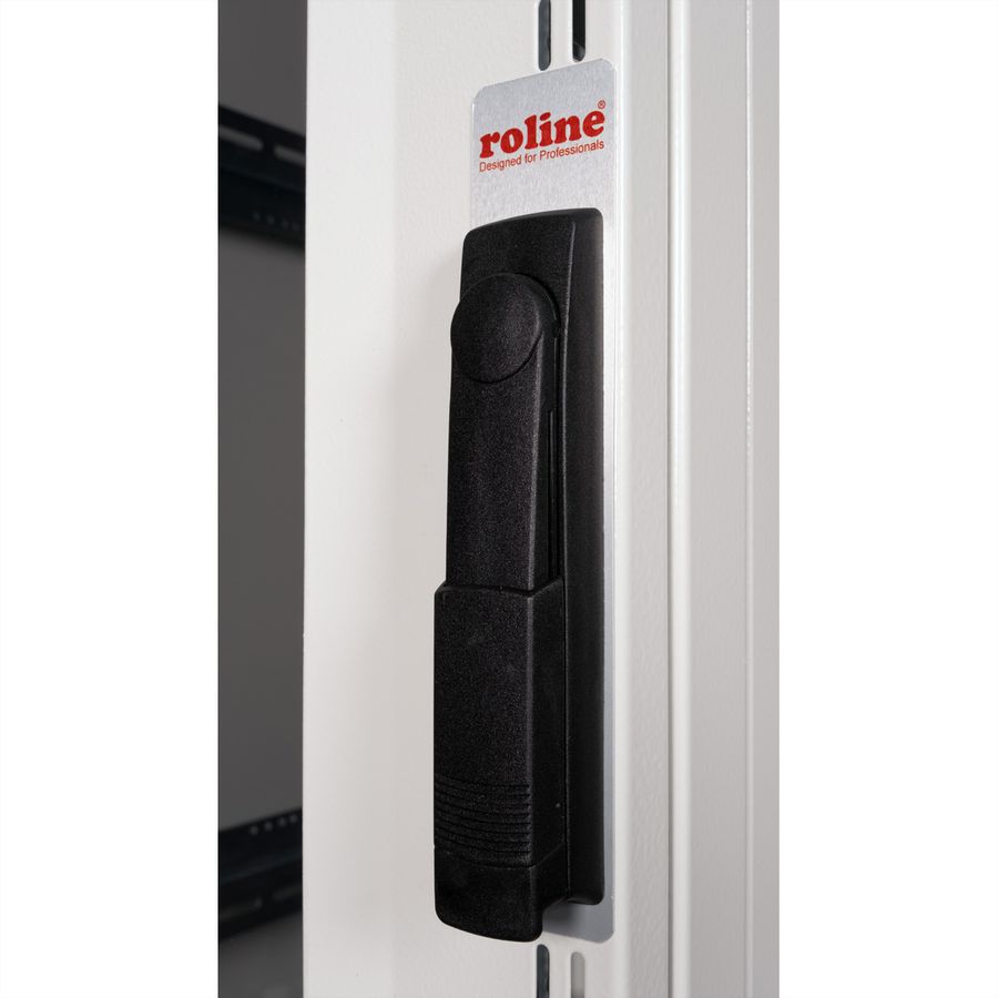 ROLINE 19" Baie serveur Pro 36U, 600x1000 LxP gris Plexiglas