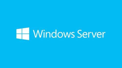 Microsoft Windows Server CAL 2019 Licence d'accès client 1 licence(s)