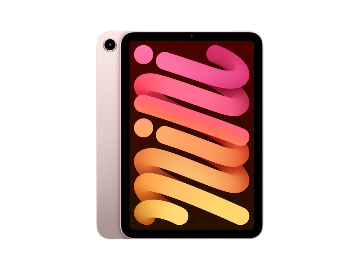 Apple iPad mini 256 Go 21,1 cm (8.3") Wi-Fi 6 (802.11ax) iPadOS 15 Or rose