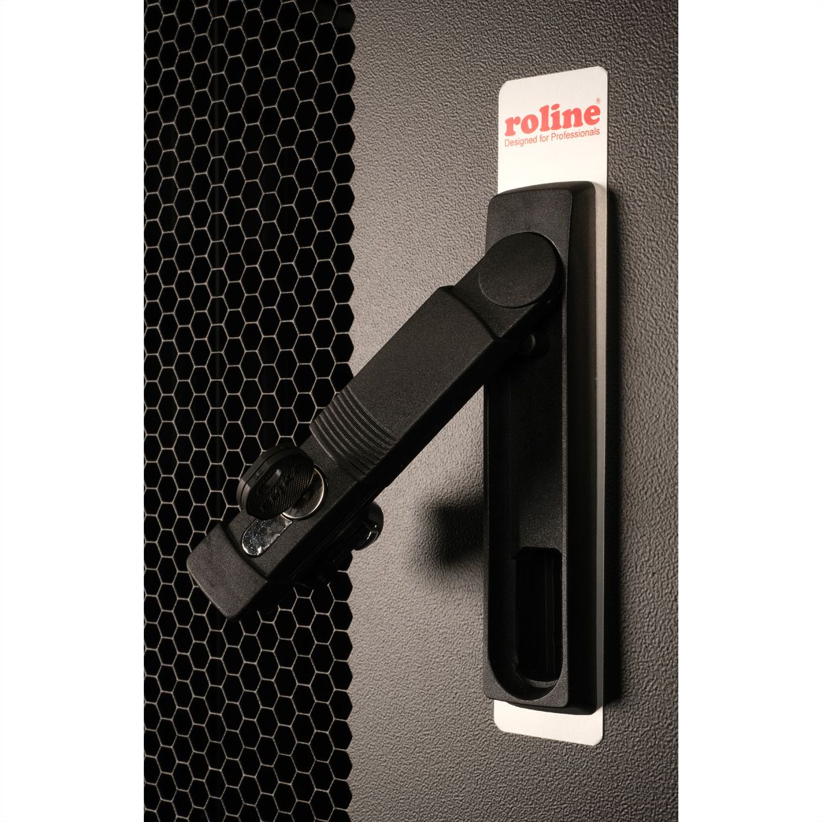 ROLINE Armoire de colocation 42U 800x1000mm, 3 compartiments, noir