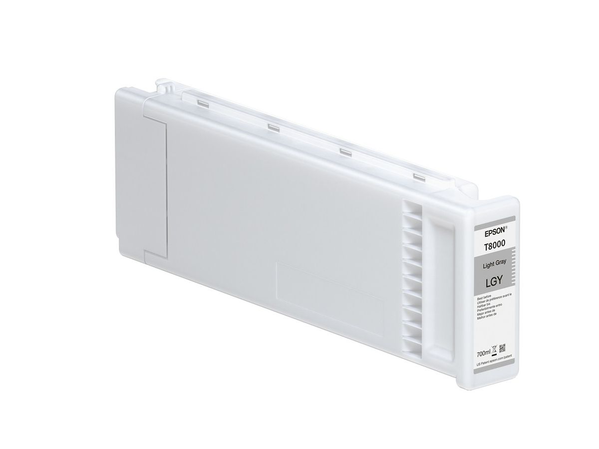Epson Gris clair