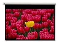 Optoma Pantalla 16:9 2656 x 1494mm écran de projection 3,05 m (120")