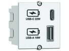BACHMANN USB A/C 22Watt Charger CM blanc, blanc