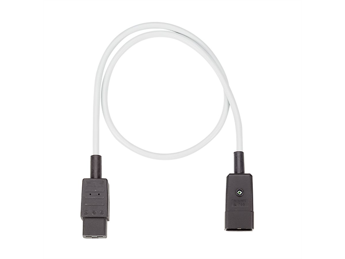 BACHMANN Câble prolongateur C20/C19 gris 1m, H05VV-F3G1,5mm