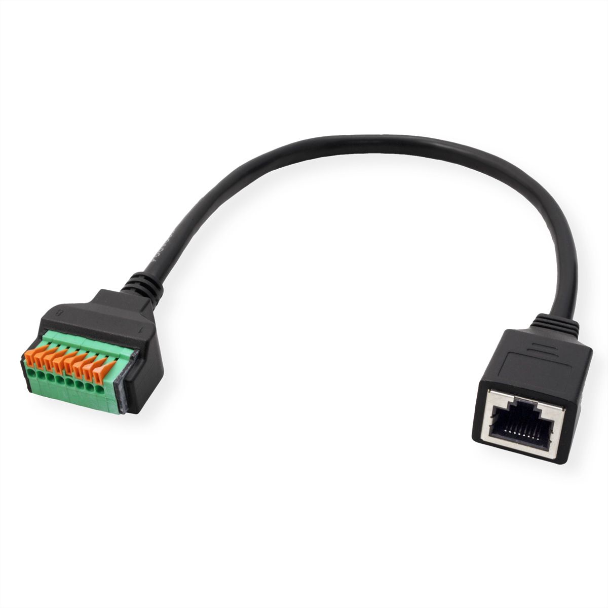 ROLINE Câble adaptateur RJ45 femelle vers bloc terminal, 30 cm
