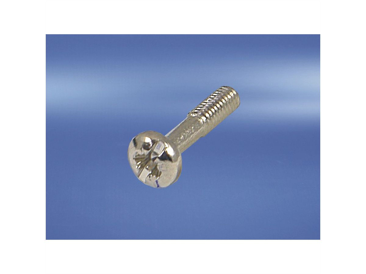 Vis à collerette de SCHROFF, cruciforme, M2.5 x 12.3 mm, acier, nickelé, 100 pièces