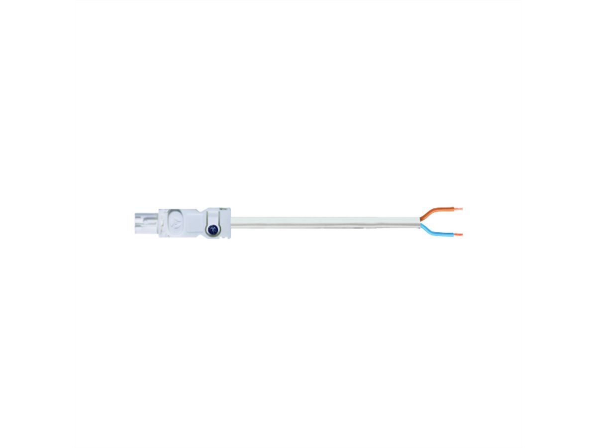 Accessoires pour lampes LED SCHROFF, Câble d'entrée pour AC