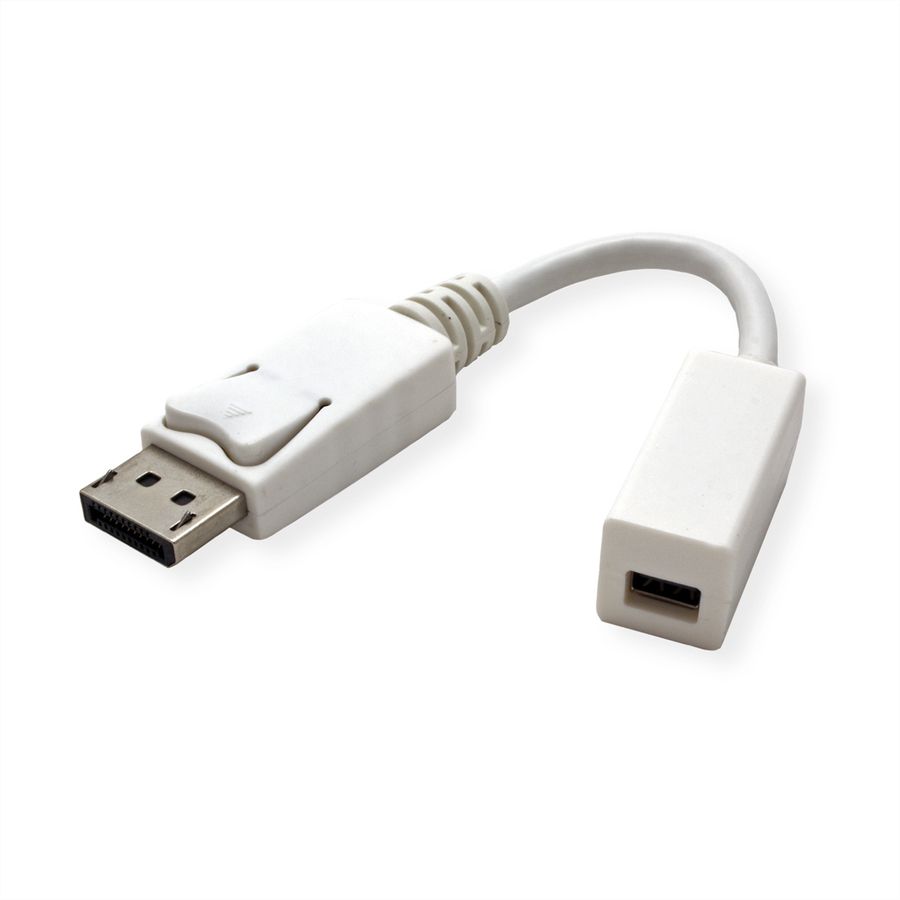 ROLINE Adaptateur DisplayPort, DP M-Mini DP F