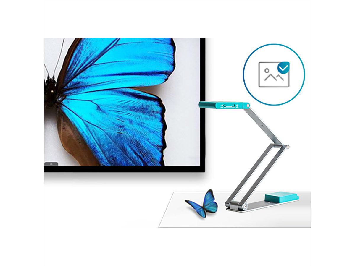 IRIScan Visualizer 7 Dyslexic