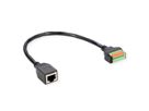 ROLINE Câble adaptateur RJ45 femelle vers bloc terminal, 15 cm
