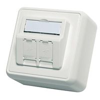 TELEGÄRTNER Module pour boîtier blanc, 2 prises
