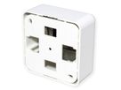 TELEGÄRTNER Module pour boîtier blanc, 2 prises