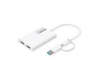 ROLINE Adaptateur Multi-DisplayLink USB type A+C - 2x HDMI, Multi-Stream 4K