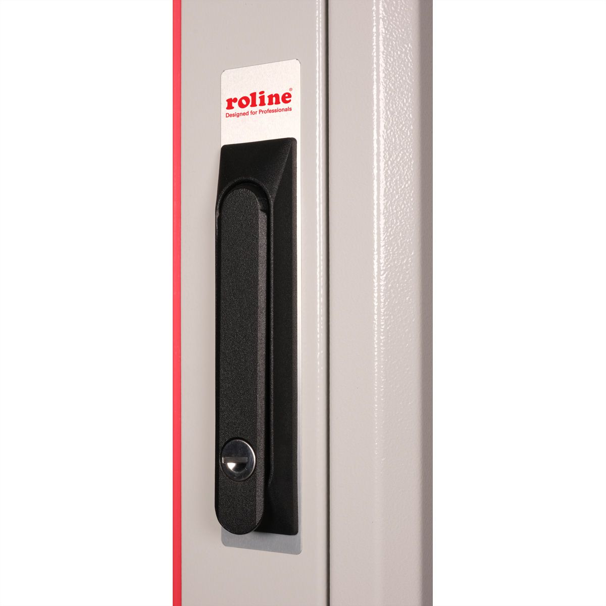 ROLINE 19" Baie réseau Basic 42U, 800x800 LxP Porte verre gris