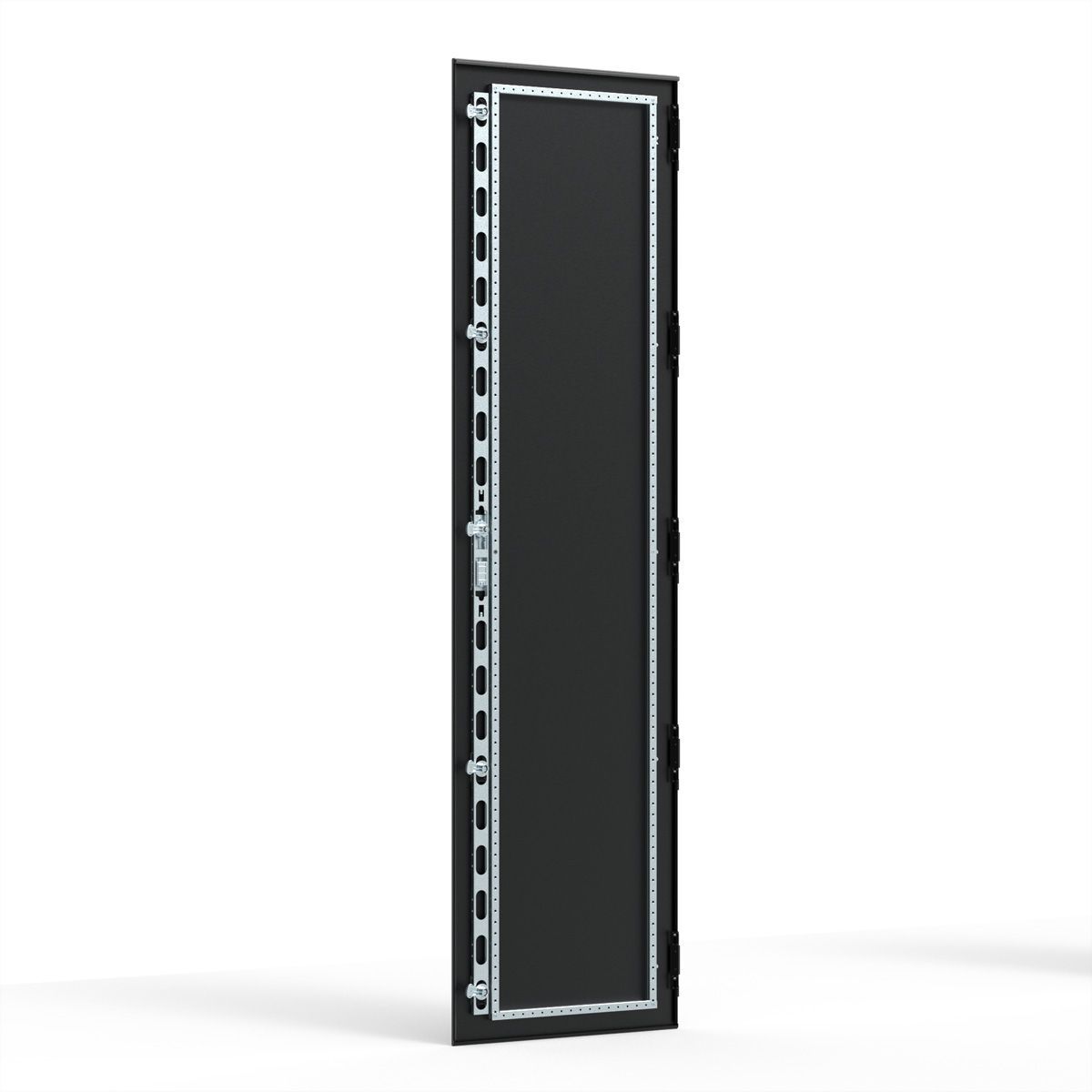 SCHROFF Porte acier CEM, IP55, multi-points