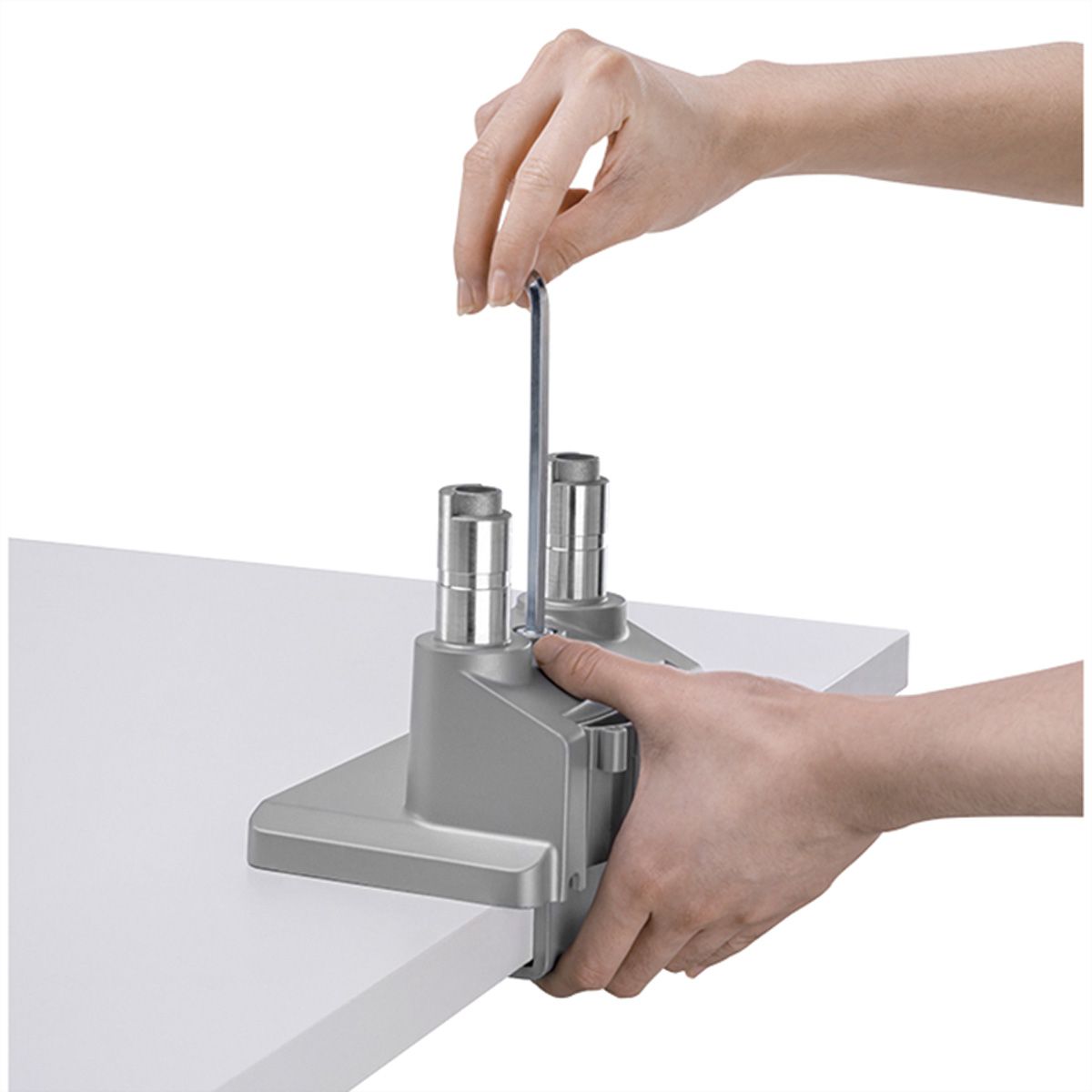 ROLINE Support double LCD, fixation sur bureau, vérin à gaz, 5 articulations, 17-23", jusqu'à 2x 9 kg, argent