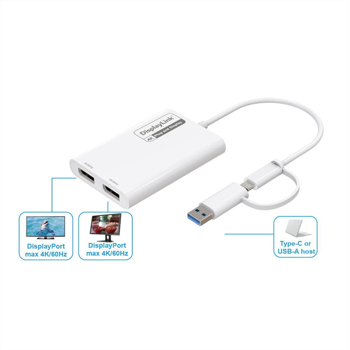 ROLINE Adaptateur Multi-DisplayLink USB type A+C - 2x DP, 4K