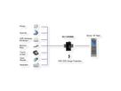 EXSYS EX-1194HMS Hub USB 3.2 Gen1 à 4 ports, C-femelle, protection de surtension