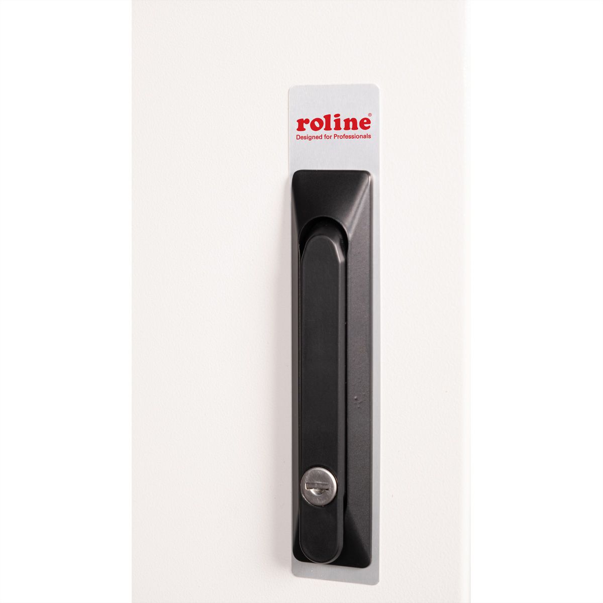 ROLINE 19" Boîtier mural Pro 16U, 600x600 LxP IP55 outdoor gris