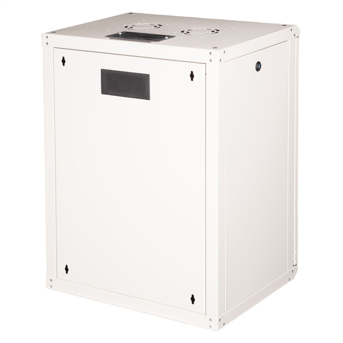 ROLINE 19" Boîtier mural Pro 16U, 600x450 LxP gris