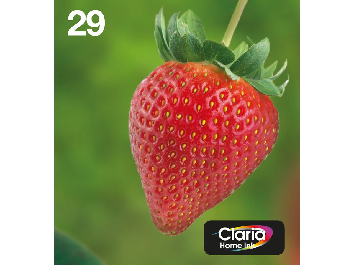 Epson Strawberry Multipack EasyMail "Fraise" 29 - Encre Claria Home N,C,M,J