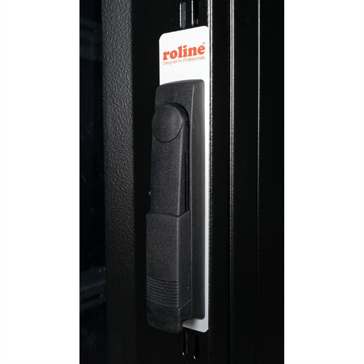 ROLINE 19" Baie serveur Pro 36U, 600x1000 LxP noir Plexiglas