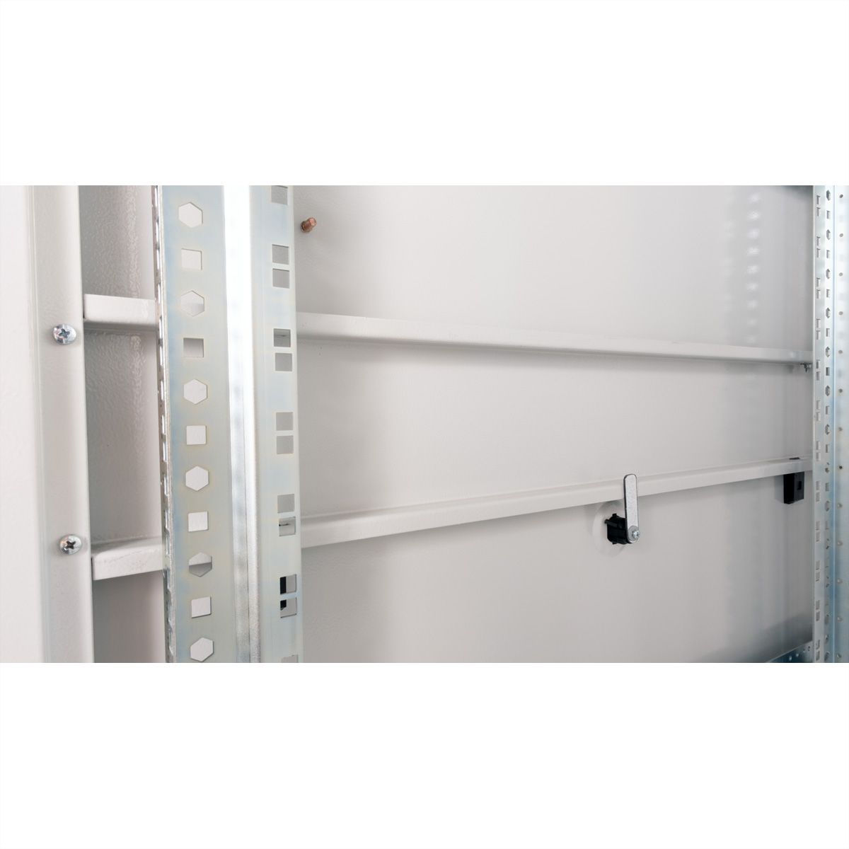 ROLINE 19" Baie serveur Pro 42U, 600x1000 LxP gris Plexiglas