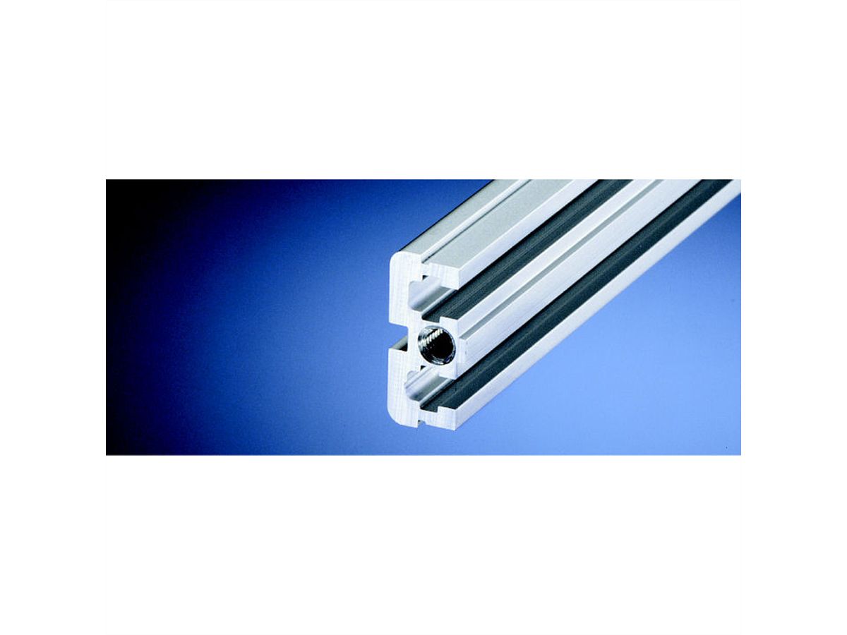 Rail horizontal SCHROFF, arrière, central, type ST, standard, 84 HP